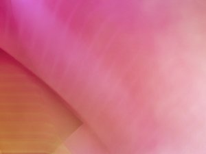 需求分析案例分享：他们是怎么做到的