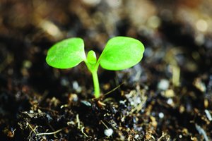 数字化转型排行推荐：年度高性价比工具榜